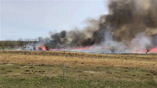 2021 USFWS Fire Employee Photo Contest Category: Video
