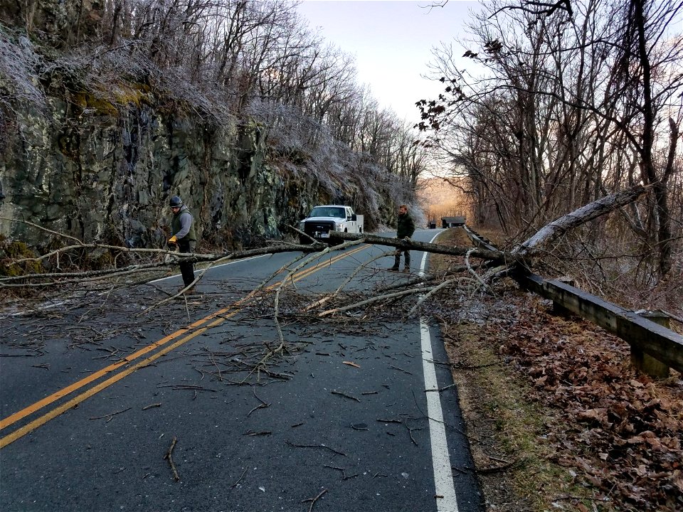Ice Storm 202