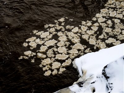 Nautelankoski photo