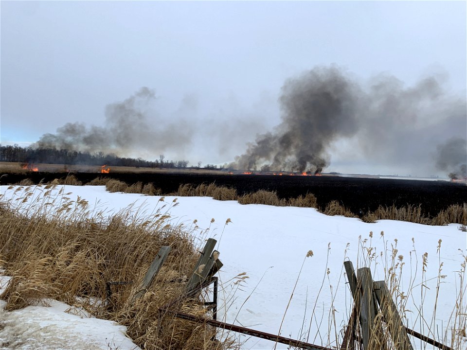 2021 USFWS Fire Employee Photo Contest Category: Landscape and Fire