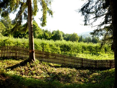 Manastirea_Sihastria2015_0809_085544