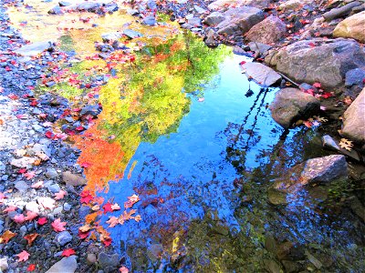 fall reflection 3 photo