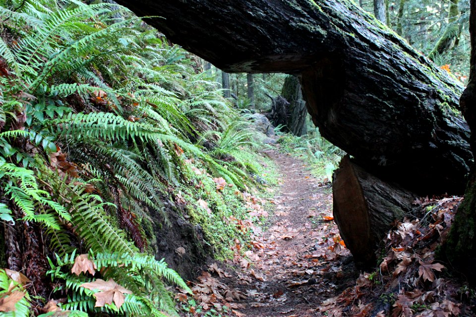 img_2216_trail27jpg_49364517211_o