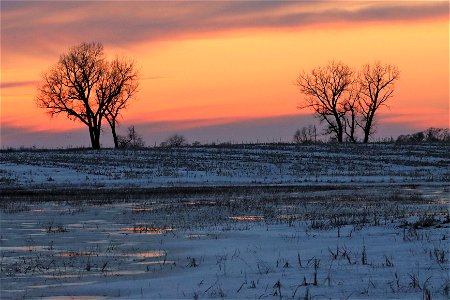 Early Spring Sunset Huron Wetland Management District photo