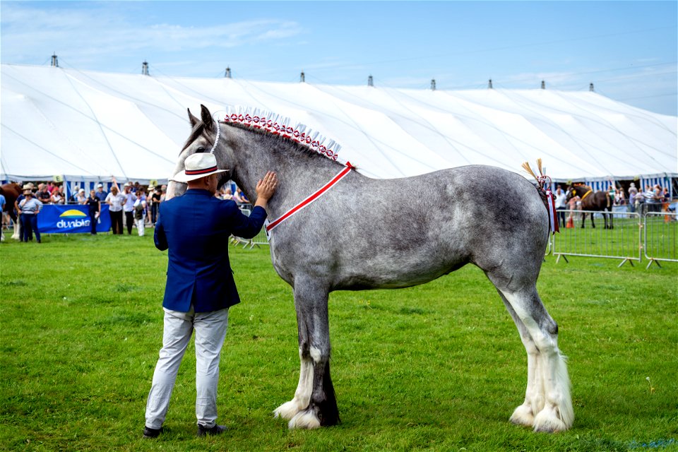 Someone with a grey horse (WCAS21)