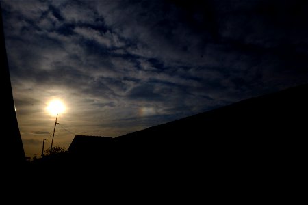 nori-Popasului2015_0414_182957