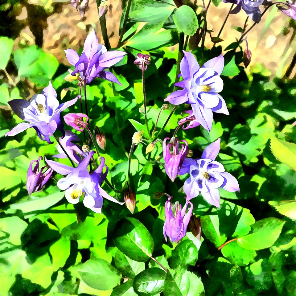 floral_DAP_Acry-Real