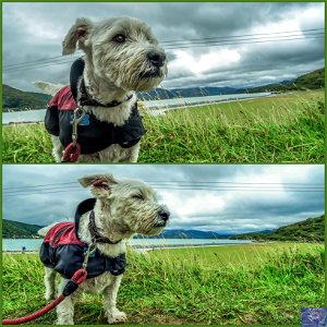 Windy Day? No problem? Wind mode!
