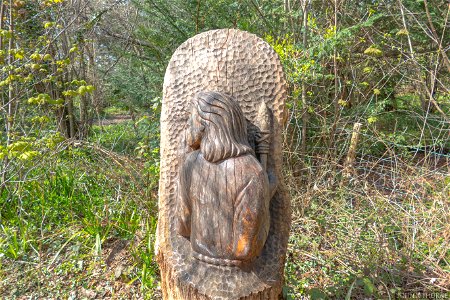Wood Carving