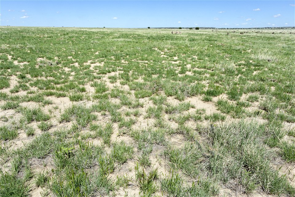 North of Vogel Canyon