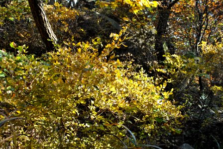 Deoksungsan Mountain