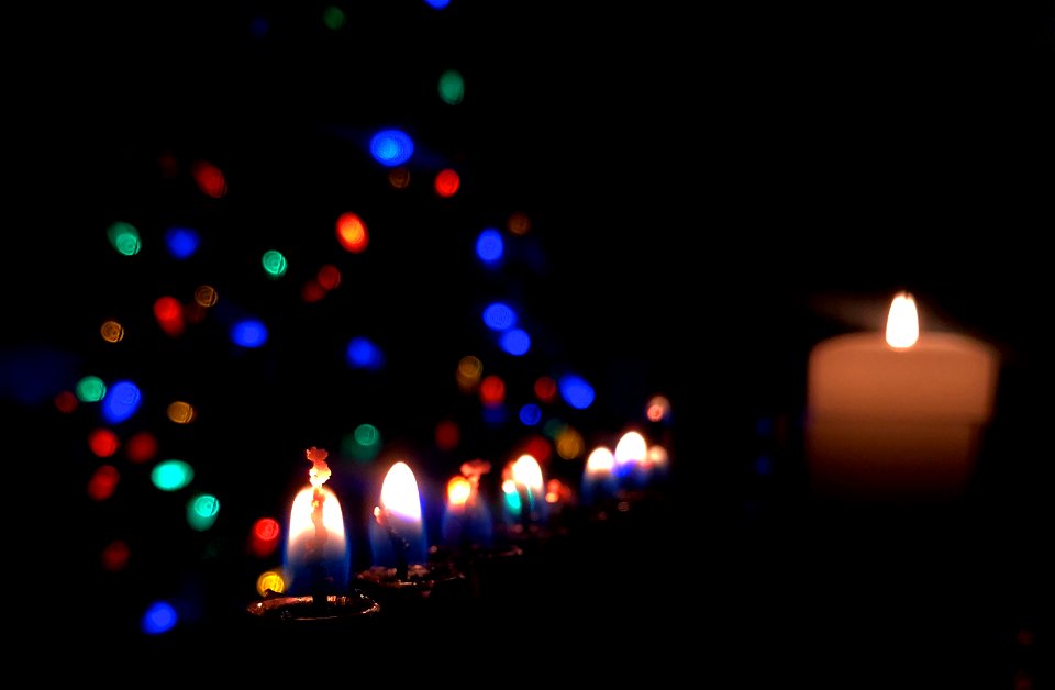 The Last of the lights