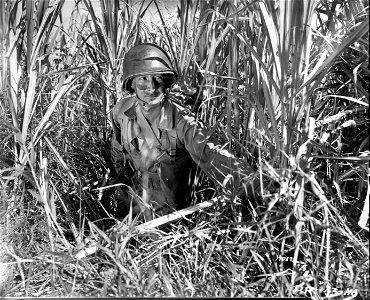 SC 170579 - Soldier scouting during maneuvers.