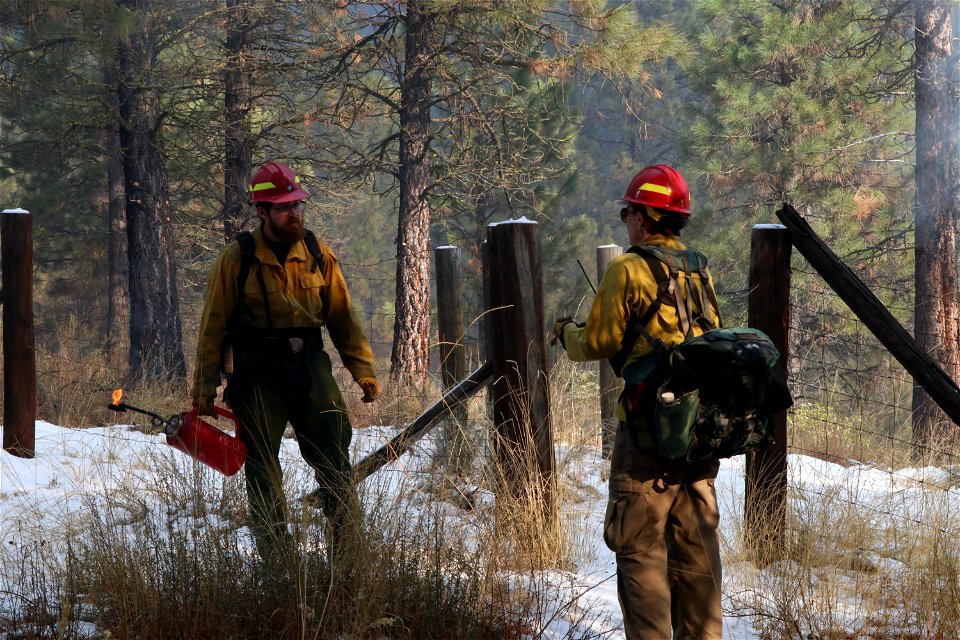 Charcoal Gulch Pile Burn, Idaho City