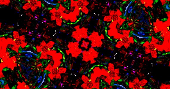 Kaleidoscope221230194225