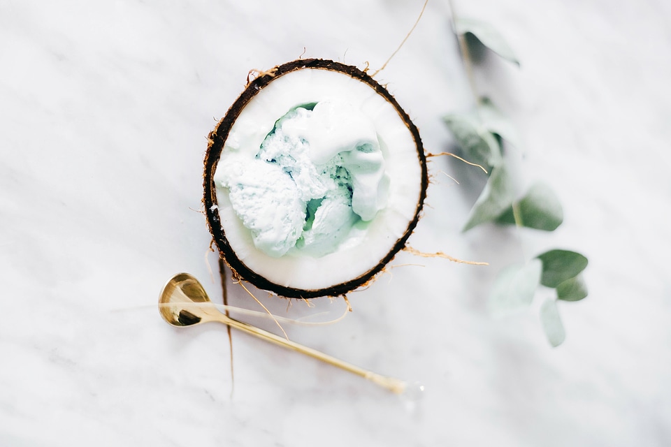 Coconut Ice Cream Sorbet