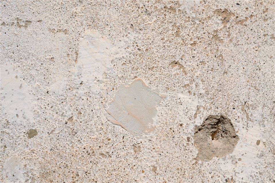 Free texture