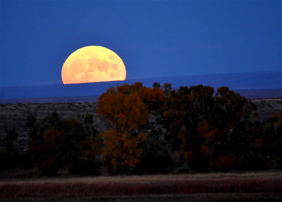 Hunter's moon rises over Seedskadee National Wildlife Refuge