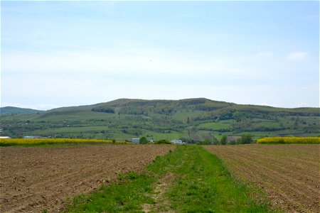 Field