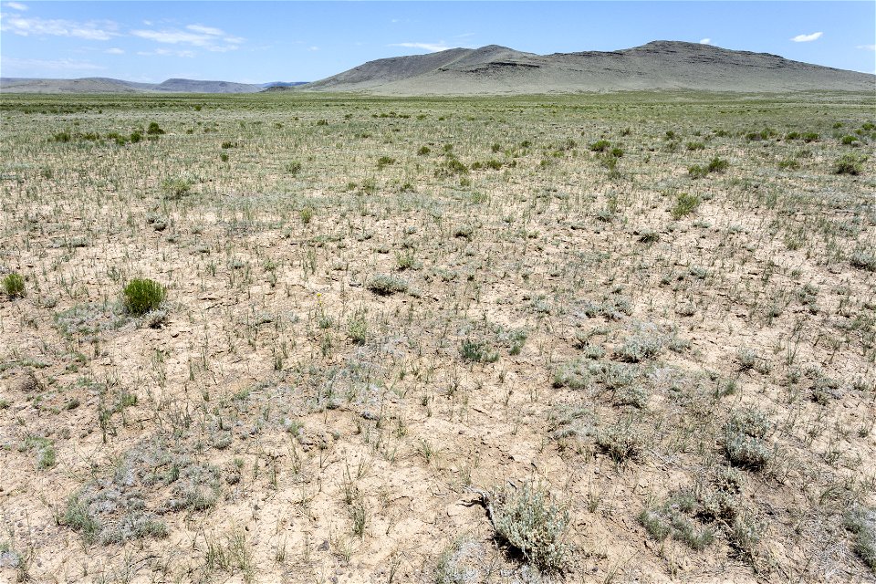 West of the Rio Grande Canyon