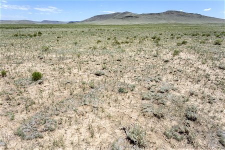 West of the Rio Grande Canyon