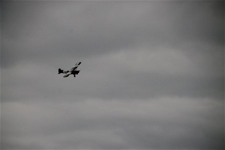 IMG_2396