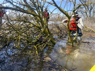 USFWS rescues a riparian brush rabbit