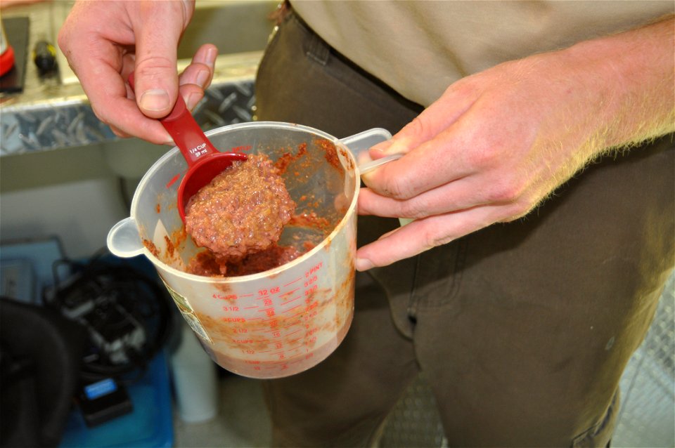 Sturgeon Streamside Rearing Unit
