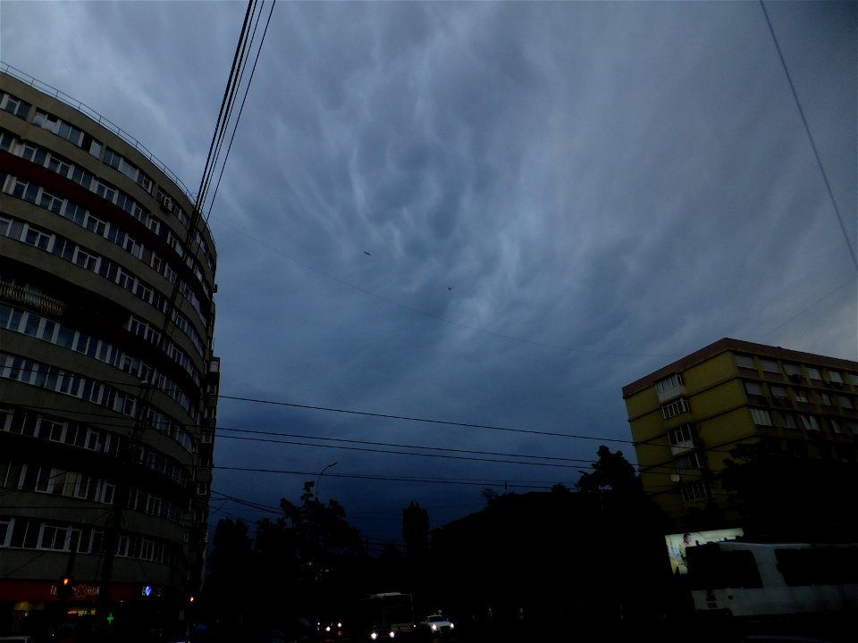 nori-Mihalache2015_0512_194414
