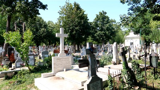 Bellu_cemetery (33)