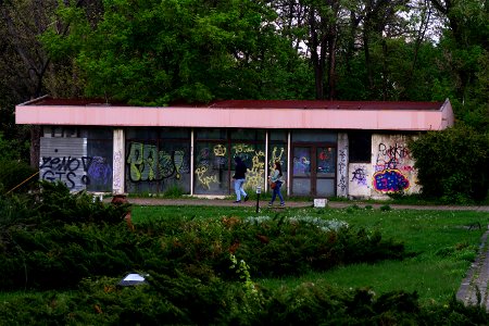 japanes_garden_rain_Herastrau (28)