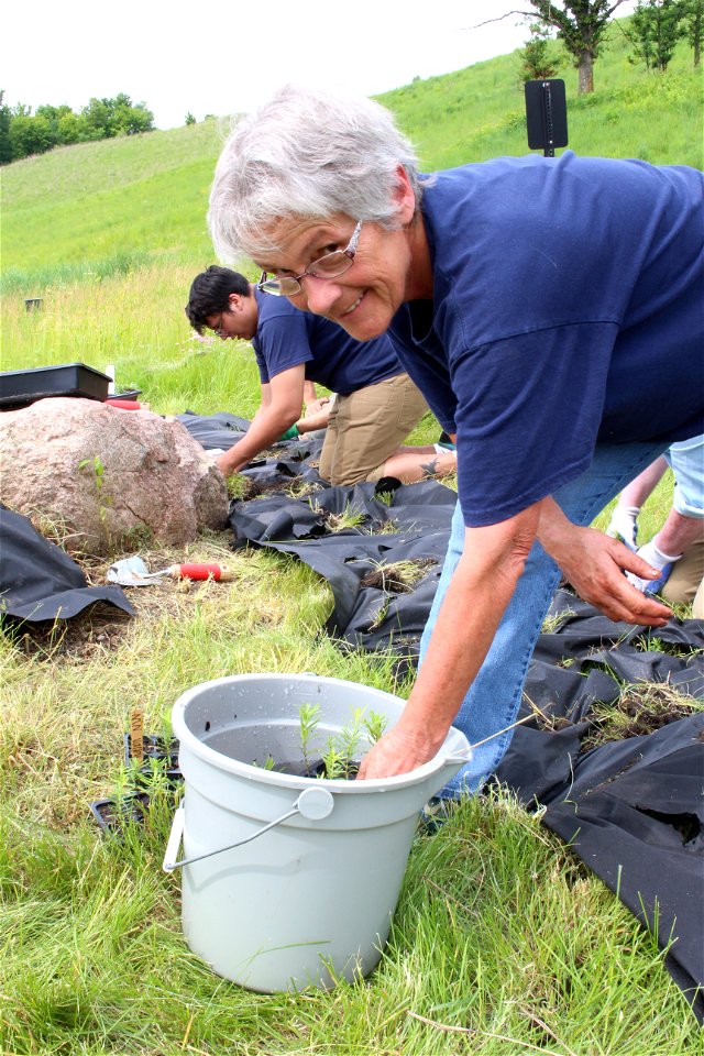 Planting a Monarch Garden