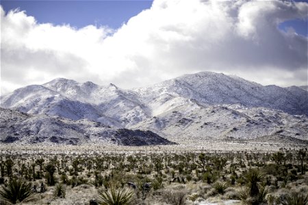 Snow-covered landscape near Quail Springs photo