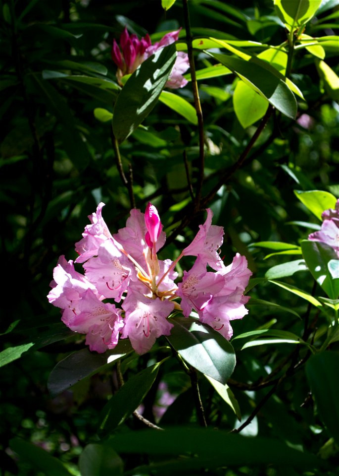 untitled-1268jpg_49385773412_o