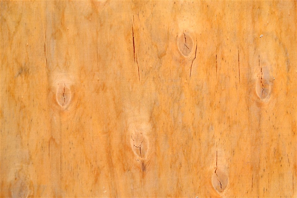 Texture