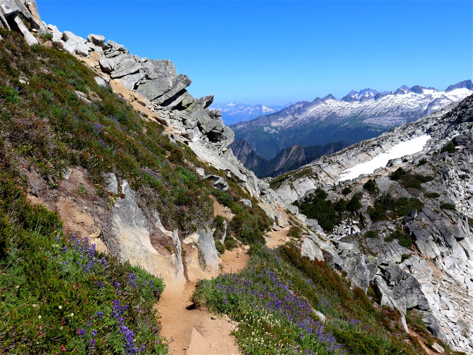 Hidden Lake Trail at North Cascades in WA photo