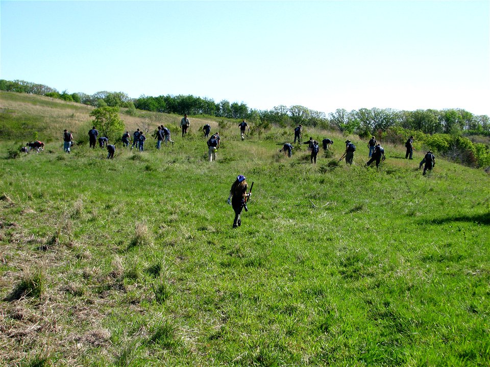 Boy Scouts search for Cedar
