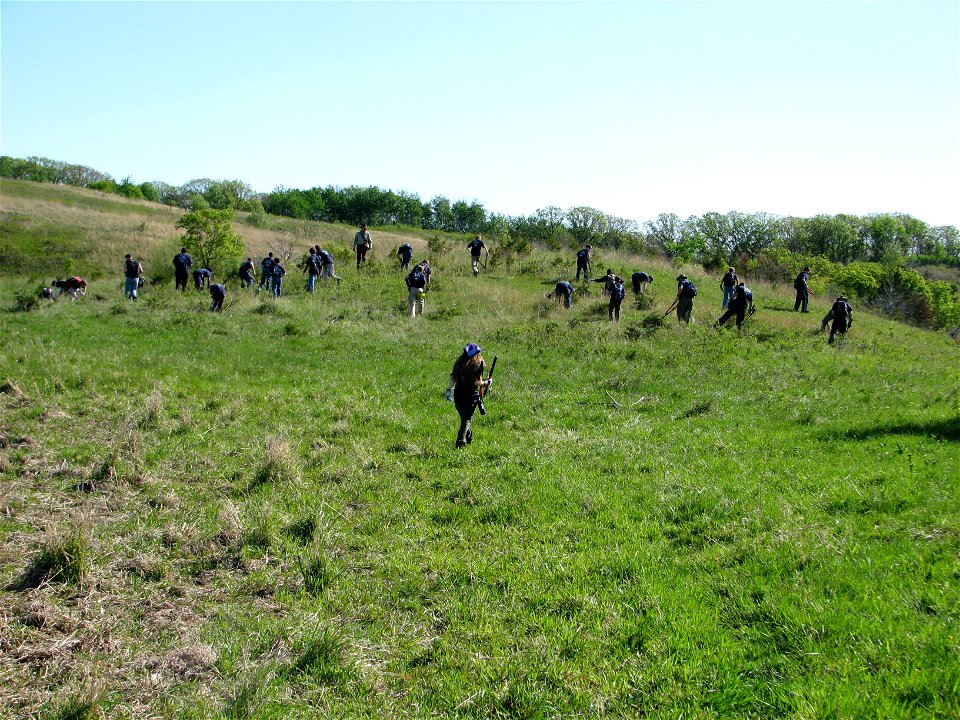 Boy Scouts search for Cedar photo