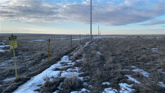 Fence line looking SE
