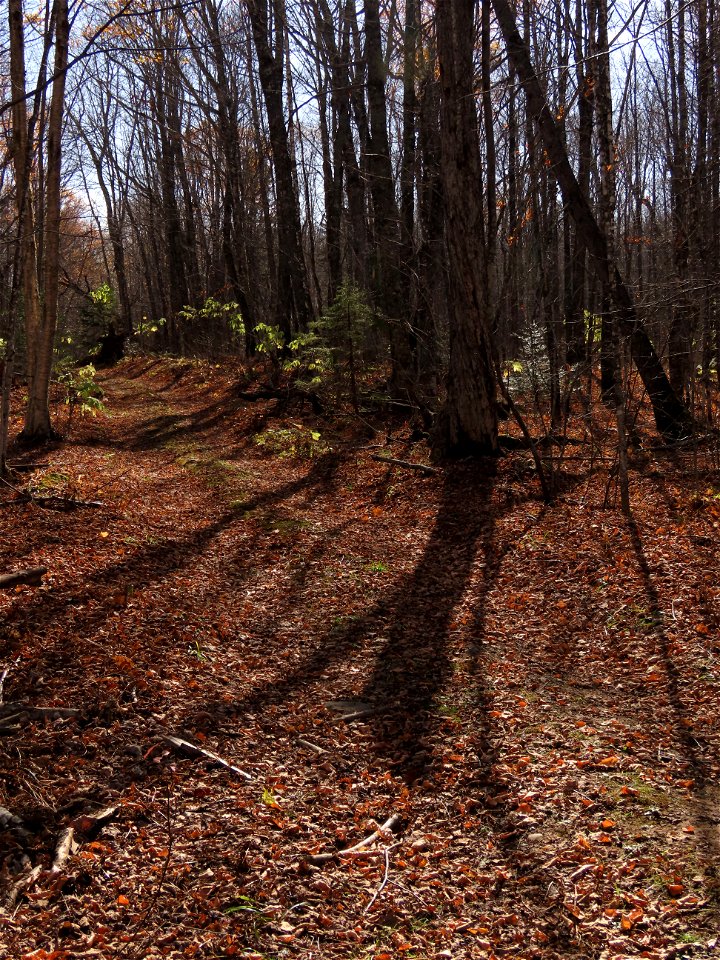 20211019-FS-Superior-SAR-005
