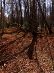 20211019-FS-Superior-SAR-005