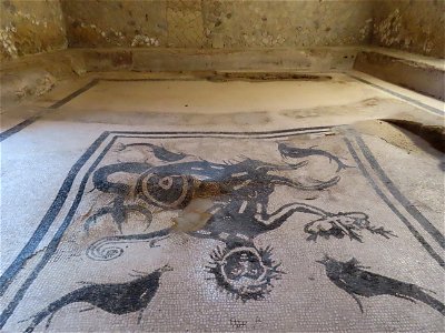 Mosaic Mens Bath Herculaneum Italy photo