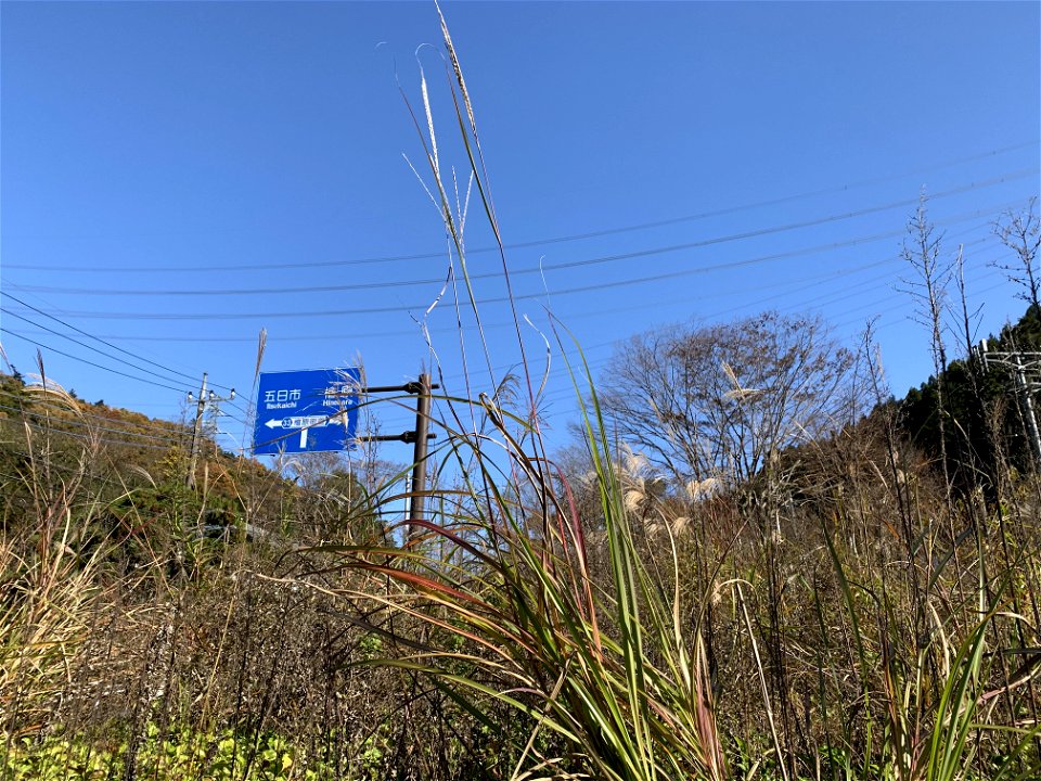 Tokura in Akiruno-shi