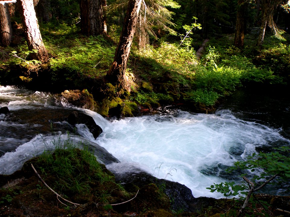 stumplake-and-camp-grounds-diamond-lake-7-09_040_064jpg_48801006456_o