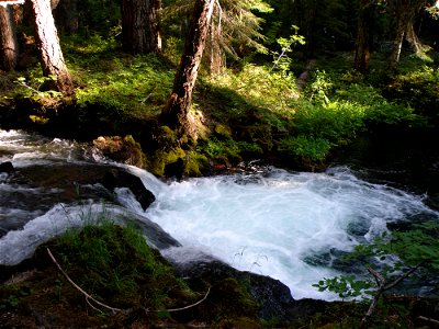 stumplake-and-camp-grounds-diamond-lake-7-09_040_064jpg_48801006456_o photo