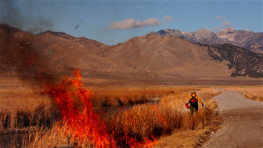 Personnel Category - USFWS 2022 Photo/Video Contest