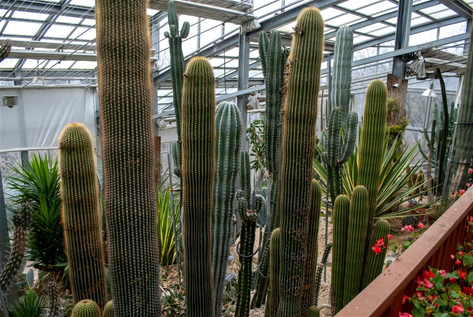 Hantaek Botanical Garden