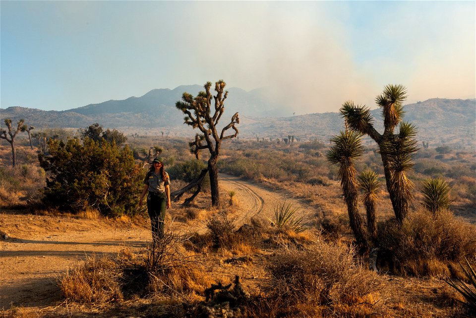 Park Ranger and Smoke from the Elk Fire