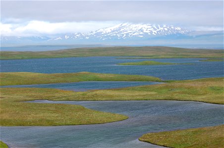 Izembek Wilderness photo