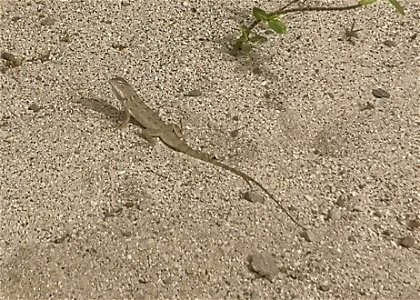 IMG_20211222_160940